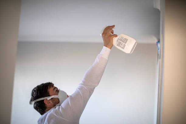 Best Mold Testing  in Lavonia, GA