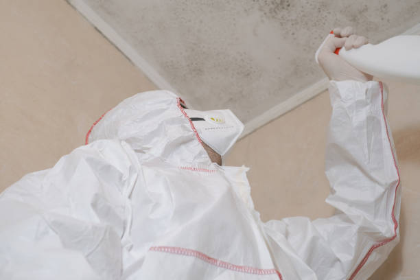 Best Mold Removal Company Near Me  in Lavonia, GA